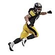 NFL Series 29 Troy Polamalu Action Figure
